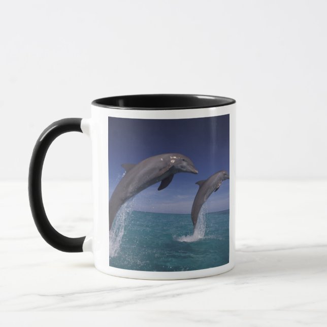 Taza Caribe, delfines mulares Tursiops (Izquierda)