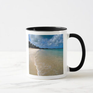 Taza Caribe, Islas de Sotavento, Antigua, Dickenson