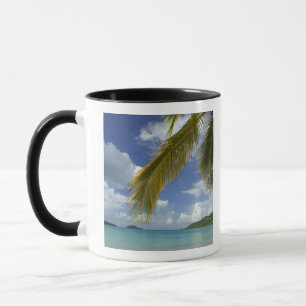 Taza Caribe, Islas Vírgenes de los Estados Unidos, San