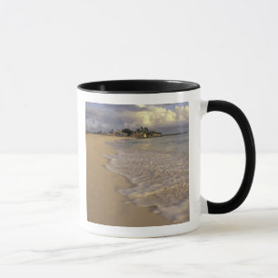 Taza Caribe, San Martín (San Maarten). Bahía de Maho