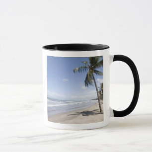Taza Caribe - Trinidad - Playa Manzanilla el 2