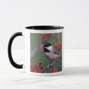 Taza Carolina Chickadee