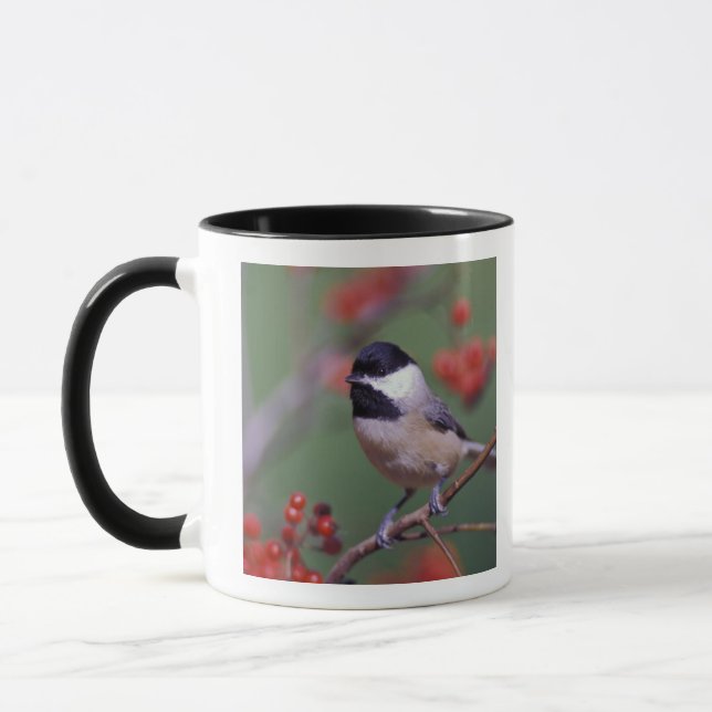 Taza Carolina Chickadee (Izquierda)