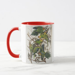 Taza Carolina Parakeet, de 'Birds of America', 1829