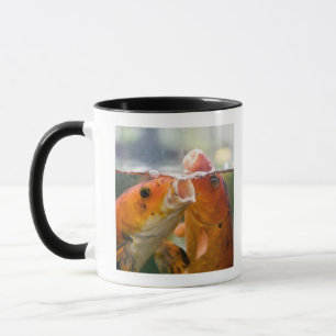 Taza Carpas de Koi