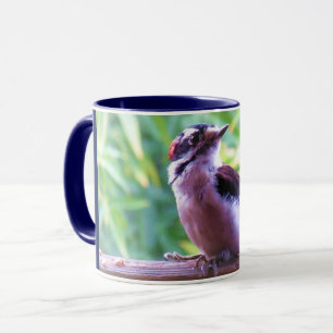 Taza Carpintero Menor Macho Joven en Barandilla
