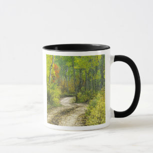 Taza Carretera con colores de otoño y álamos en Kebler