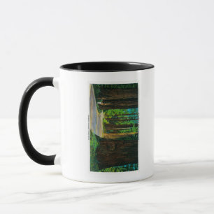 Taza Carretera de la secoya en parque de la secoya del