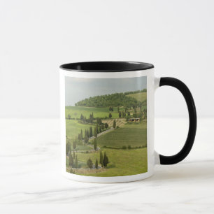 Taza Carretera de Pienza a Montepulciano,