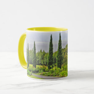TAZA CARRETERA ENLAZADA CON ÁRBOLES CYPRESS