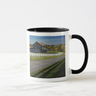 Taza Carretera rural a través de la región Bluegrass de