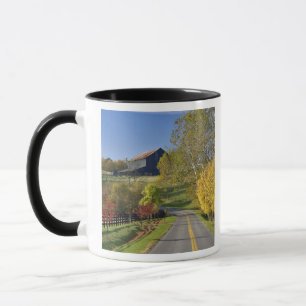 Taza Carretera rural a través de la región de Bluegrass