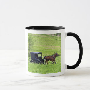 Taza Carro y caballo Amish cerca de Berlín, Ohio.