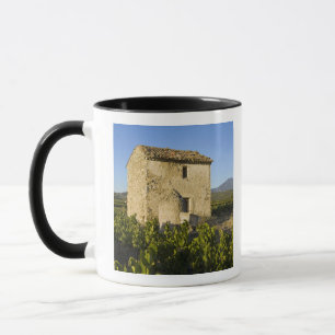Taza Casa antigua en el Comtat Venaissin, Vaucluse,