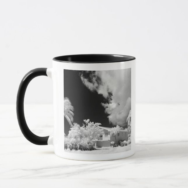 Taza casa de Florida Keys y sus palmeras, EE. UU. (Izquierda)