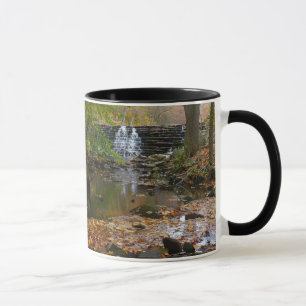 Taza Cascada de otoño y arroyo Pensilvania Naturaleza
