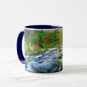 Taza Cascada Flume   Montañas Adirondack