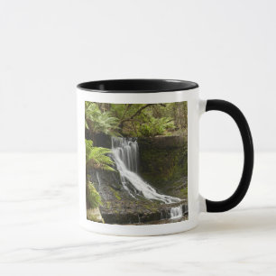 Taza Cascada Horseshoe, Parque Nacional Mount Field,