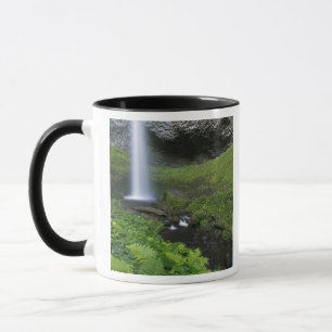 Taza Cascada Latourell, desfiladero del río Columbia, O