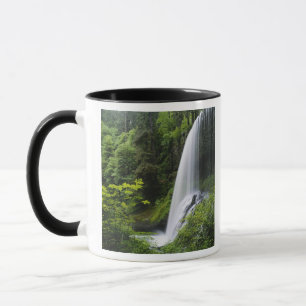 Taza Cascada Middle North, Parque Estatal Silver Falls,
