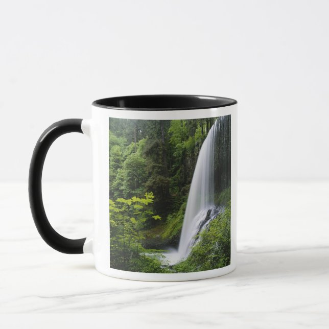 Taza Cascada Middle North, Parque Estatal Silver Falls, (Izquierda)