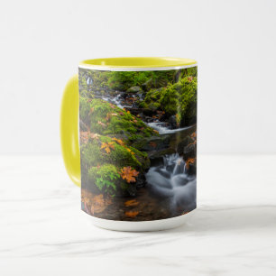 Taza Cascada Starvation Creek Desfiladero de Columbia
