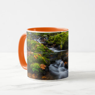 Taza Cascada Starvation Creek Desfiladero de Columbia
