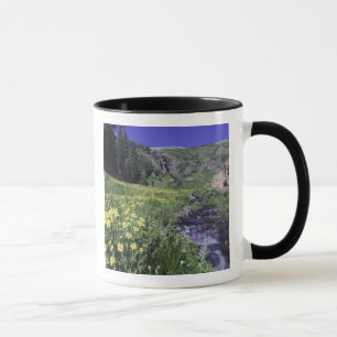 Taza Cascada y flores silvestres en pradera alpina, 2