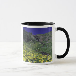 Taza Cascada y flores silvestres en prado alpino, 3