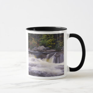 Taza Cascadas, Carretera Kancamagus, Blanco