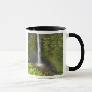 Taza Cascadas de Akaka, Costa de Hamakua, Isla de Hawai
