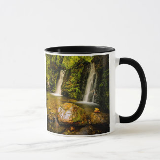Taza Cascadas de Coolalingo: Serenidad en Wicklow