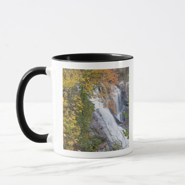 Taza Cascadas del río Bald (Izquierda)