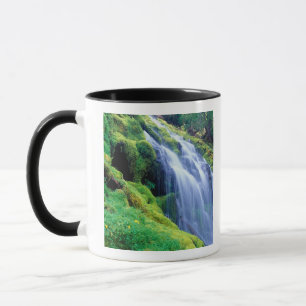 Taza Cascadas Proxy en las Cascadas centrales de Oregón