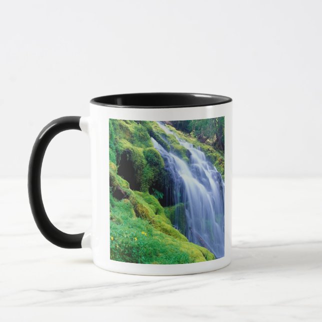 Taza Cascadas Proxy en las Cascadas centrales de Oregón (Izquierda)