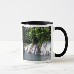 Taza Cascadas Reach, Port Antonio, Jamaica