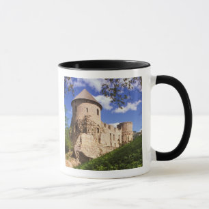 Taza Castillo de Cesis en Letonia central.