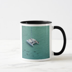 Taza Catamarán, Islas Mamanuca, Fiji, Pacífico Sur