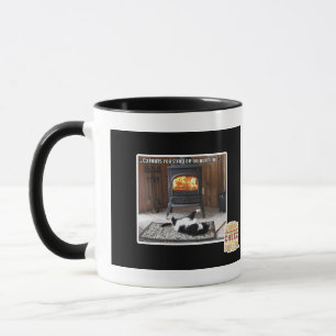 Taza Cataratas asadas
