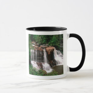 Taza Cataratas Blackwater, Virginia Occidental, escéni