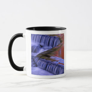 Taza Cataratas de bonos; Las Hojas De Color Caído Refl