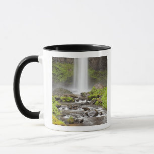 Taza Cataratas de Latourell, desfiladero del río Colum