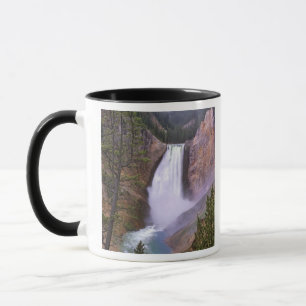 Taza Cataratas de piedra amarilla baja, Gran Cañón de