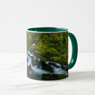 Taza Cataratas Parque Nacional Olímpico, Washington