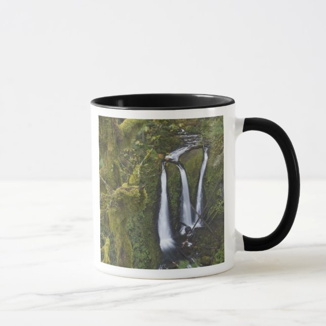 Taza Cataratas triples, desfiladero del río Columbia (Derecha)