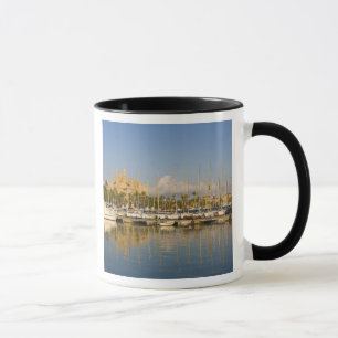 Taza Catedral y marina, Palma, Mallorca, España