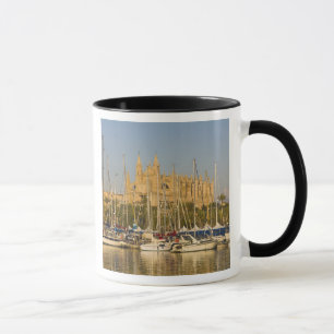 Taza Catedral y marina, Palma, Mallorca, España 2