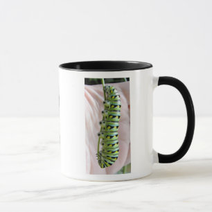 Taza Caterpillar de cola de cereal negra/mariposa-barba