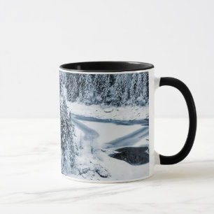 Taza Caumasee