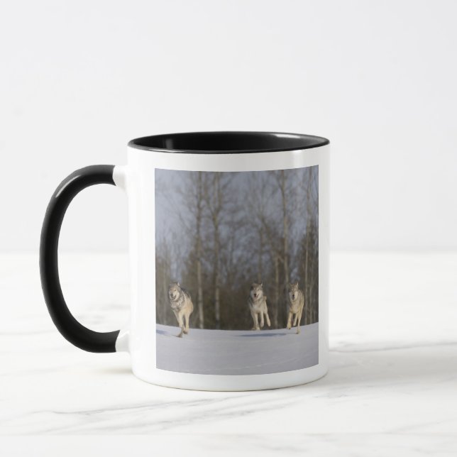 Taza Cautivo, Duluth, Minnesota, los E.E.U.U. 2 (Izquierda)